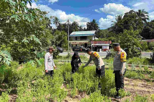 ImgResizer_20250208_2027_07083-640x480