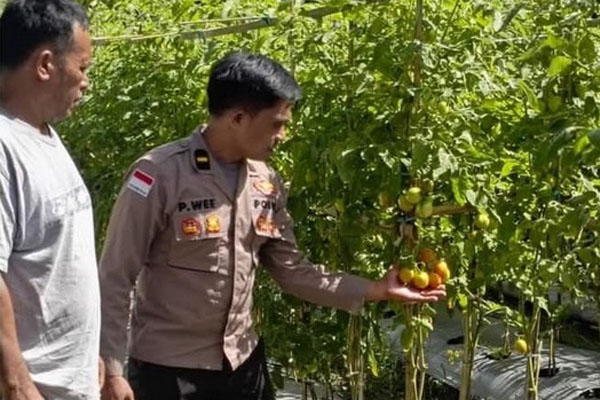 Snapshot_2025-2-11_18-3-37