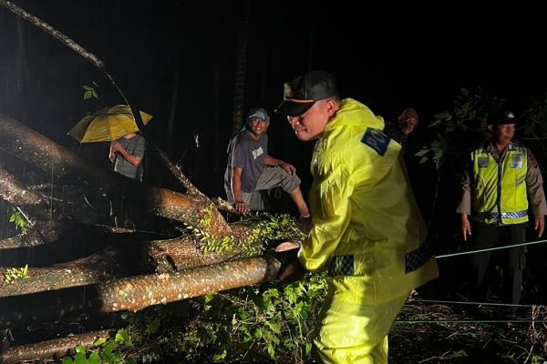 c1a082f0-9b44-433d-964b-2631028ae58b-715x400